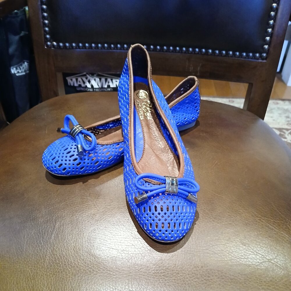 Cute Brand New Royal Blue Flats/Slippers